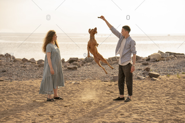Young couple with dog at the beach- dog jumping