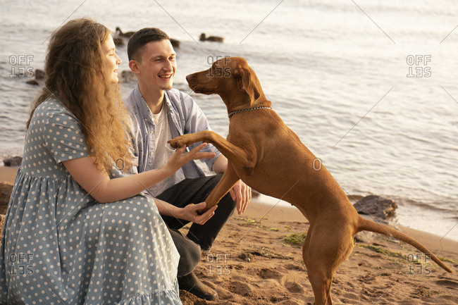 Couple with dog at the beach- dog giving paw