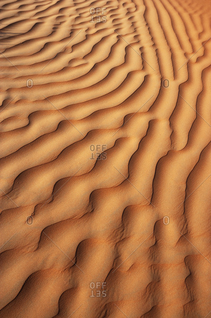 Oman- Rippled sand on a dune- full frame