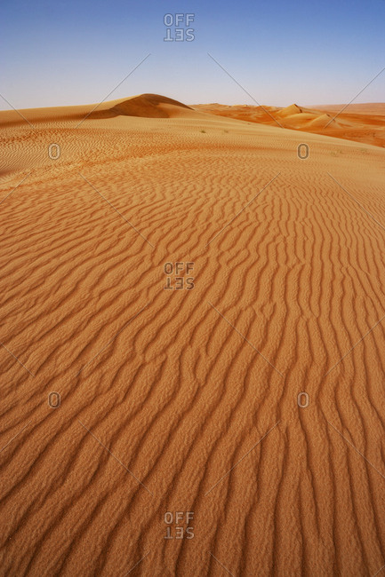 Sultanate Of Oman- Wahiba Sands- Rippled dunes in the desert