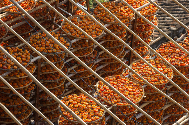 Drying persimmons outside