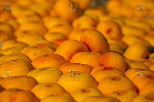 Peeled persimmons drying outside