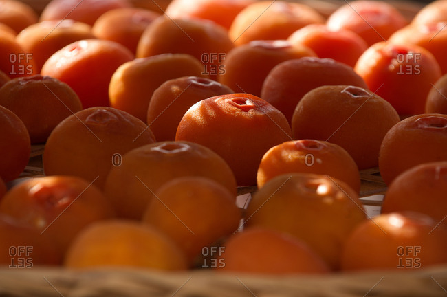Peeled persimmons drying outside