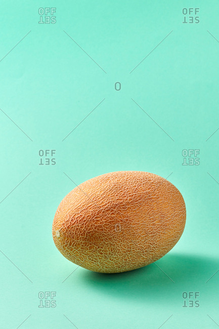 Freshly picked ripe natural organic melon on a biscay green background with soft shadows, copy space. Vegetarian concept.