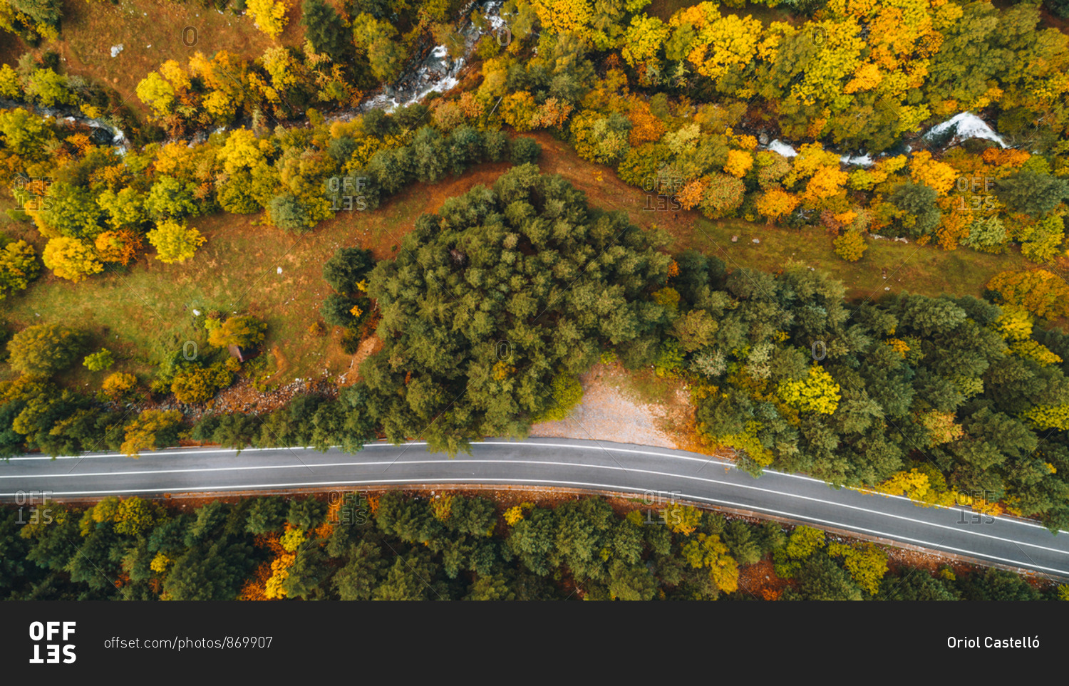 Bird\'s eye view over colorful trees and highway in autumn
