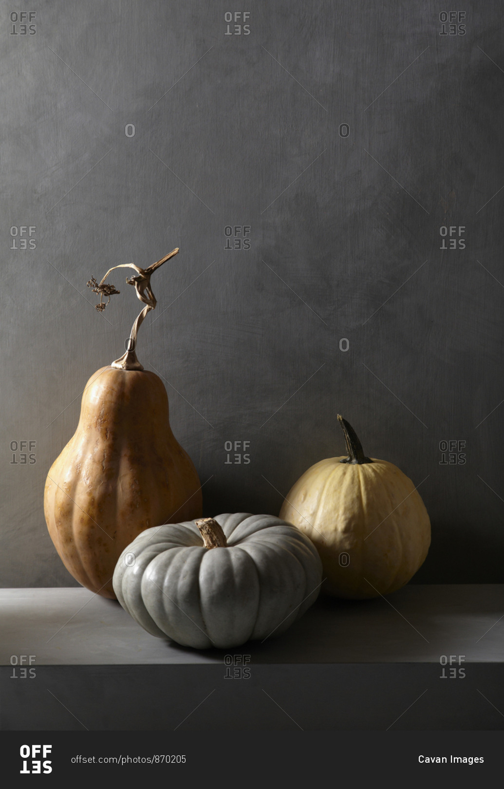 pumpkin still life