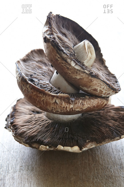 portobello mushroom stack detail on white