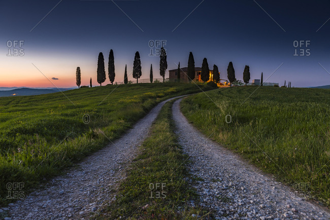 Tuscan landscape with grain field, dusk, San Quirico d'Orcia, Val d'Orcia, Tuscany, Italy, Europe