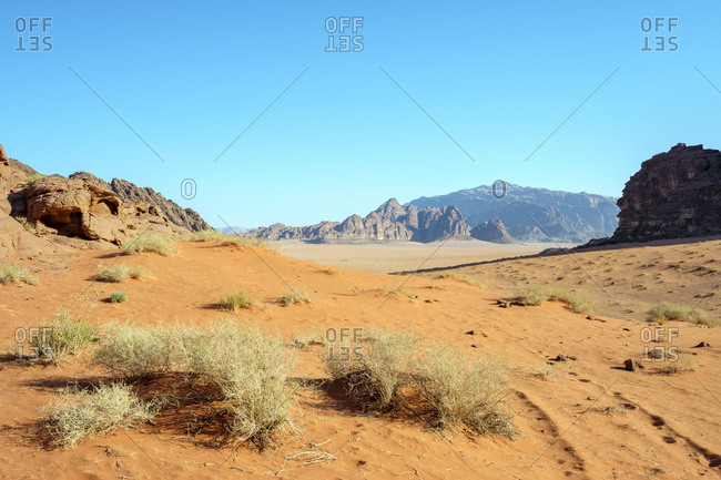 Desert landscape in wadi rum protected area, jordan