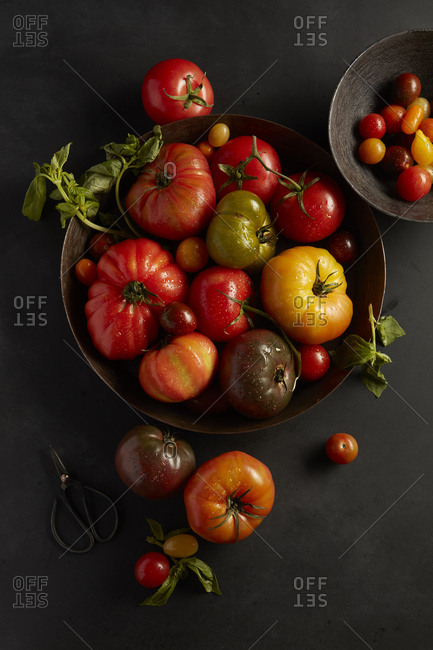 Fresh heirloom tomatoes
