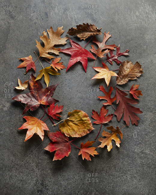 Wreath of fall leaves