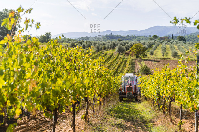 Tractor parked in a vineyard