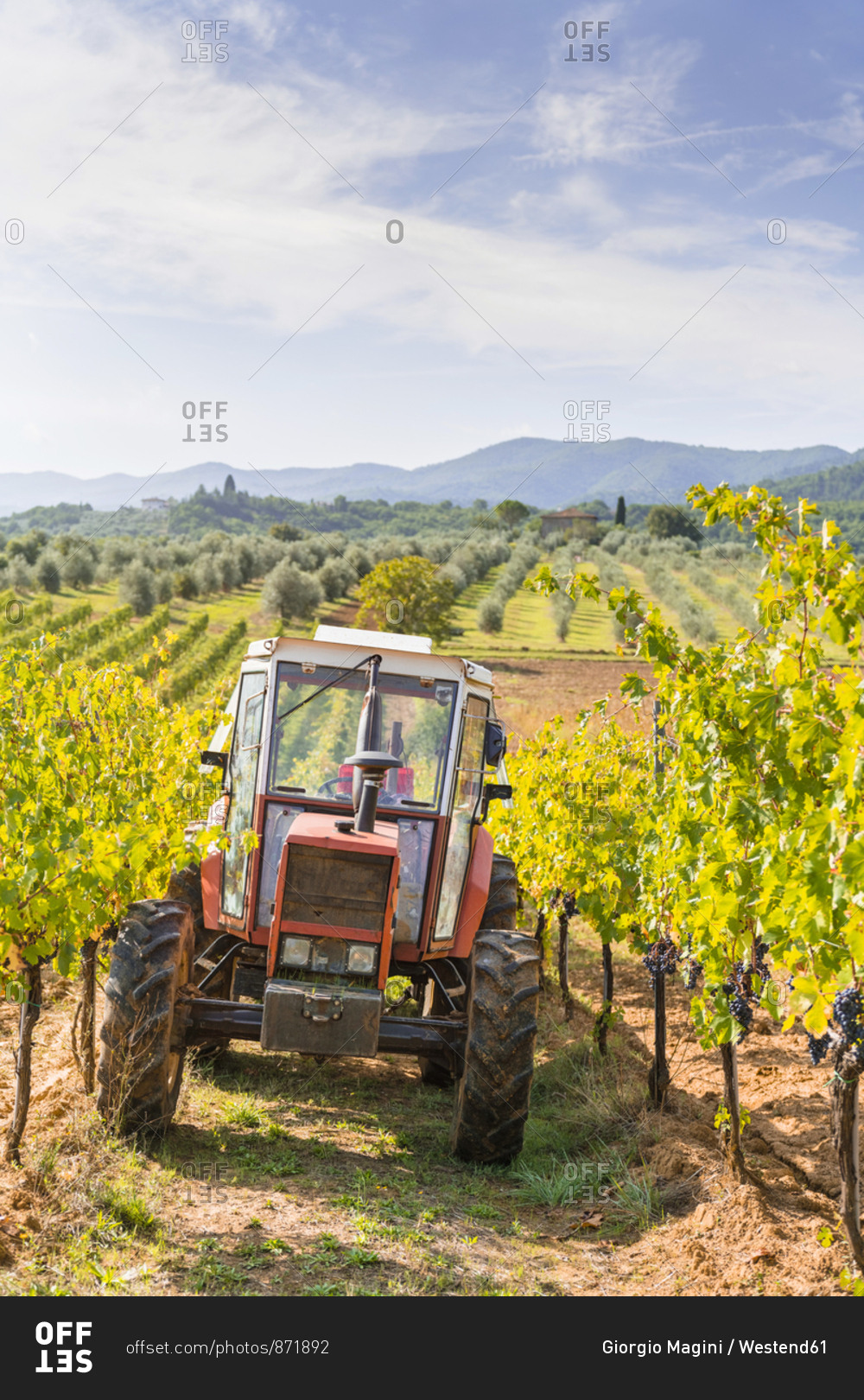 Tractor parked in a vineyard
