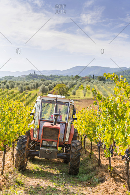 Tractor parked in a vineyard