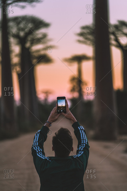 Madagascar - JULY 6, 2019: From behind modern man in casual outfit taking picture on smartphone while standing at rural road by tall baobab trees in twilight