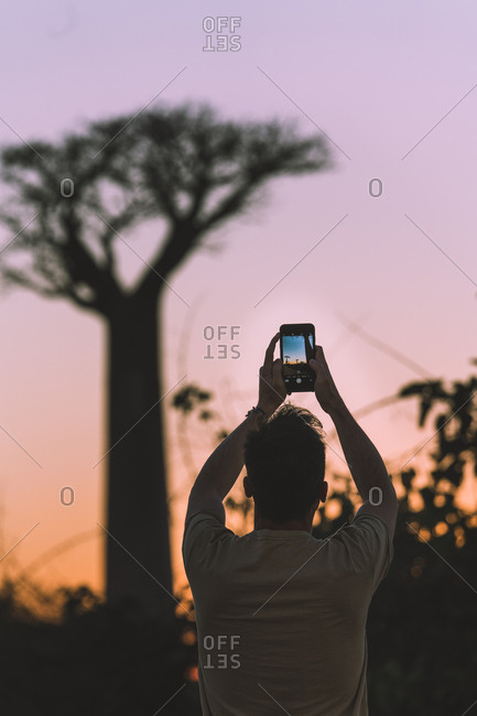 Madagascar - JULY 6, 2019: From behind modern man in casual outfit taking picture on smartphone while standing at rural road by tall baobab trees in twilight