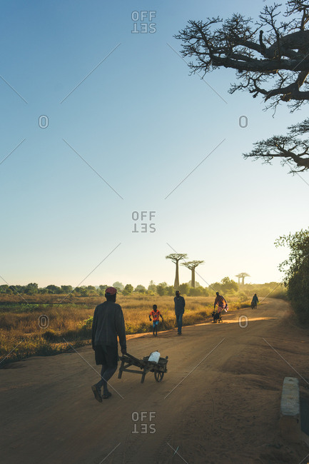 Madagascar - JULY 6, 2019: People in colorful casual clothes with carts walking along dusty road by distant tropical forest