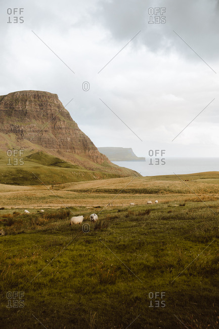 Mountain valley covered with green grass near seacoast in Neist Point Lighthouse in united kingdom