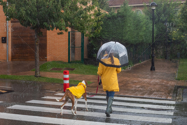 rain boots and umbrella