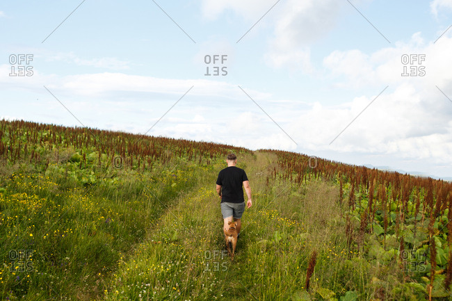 A guy in a black football player walks among the mountain grasses, fol