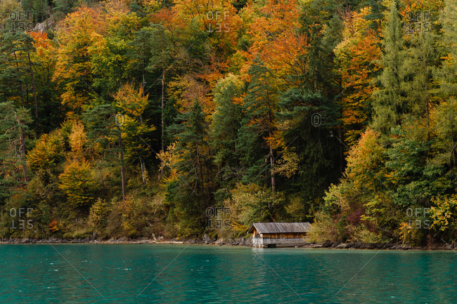 wooden pier near alpine lake on golden forest background
