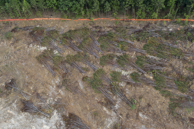 Land Clearing, Construction Site, Stone Mountain, Georgia