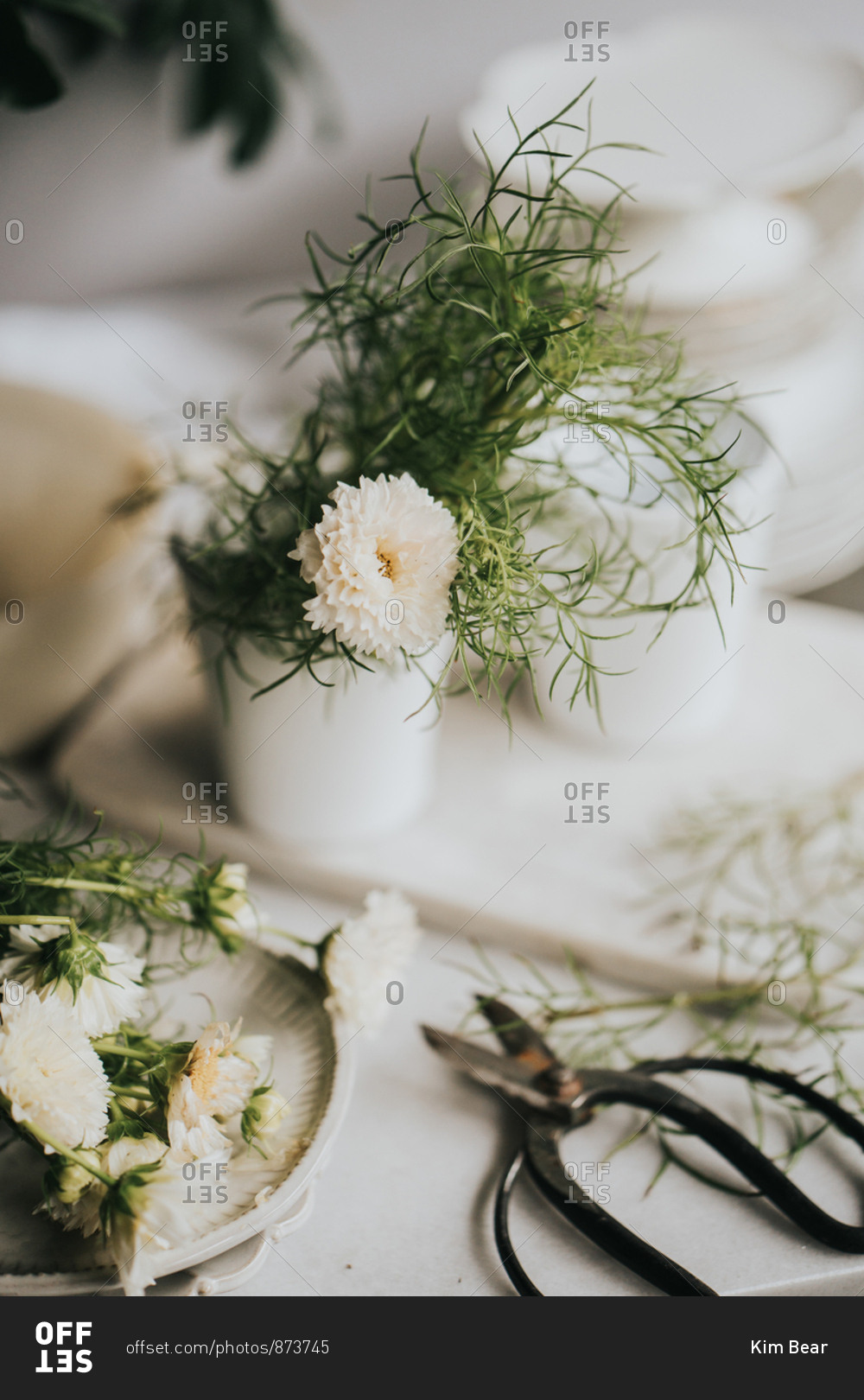 White freshly cut flowers in vase