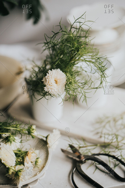 White freshly cut flowers in vase