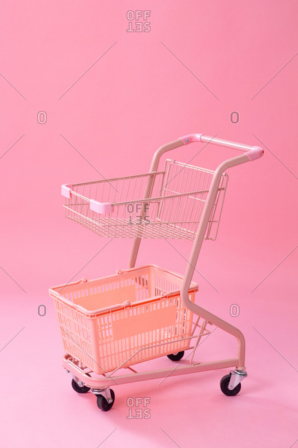 The shopping cart