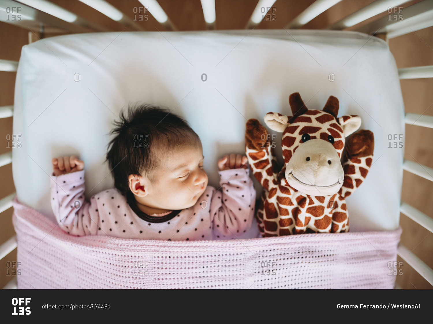 newborn-baby-girl-sleeping-in-crib-with-a-plush-giraffe-stock-photo