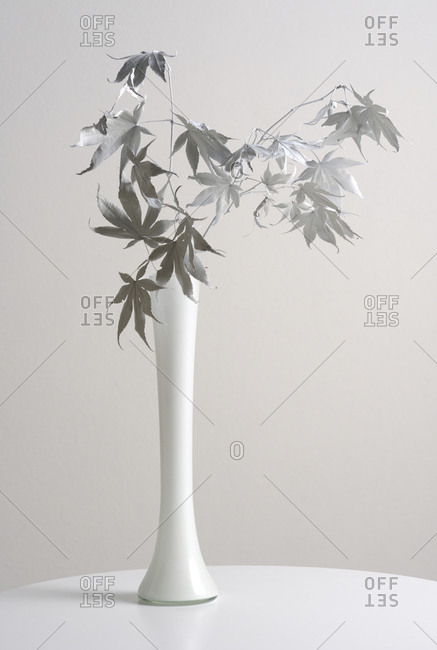 Close-up of plants in vase on table against white background