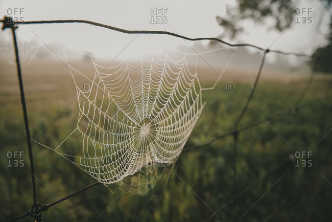 Close-up of spider web hanging on metal against landscape