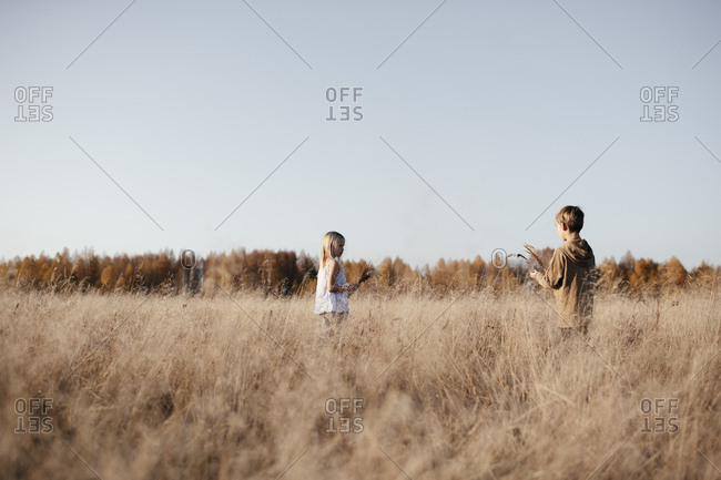 Siblings collecting grasses on autumnal meadow
