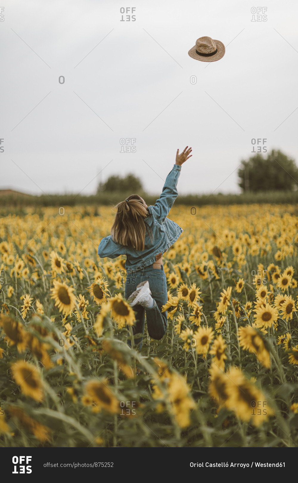 Rear View of young woman with blue denim jacket throwing a hat in a field of sunflowers