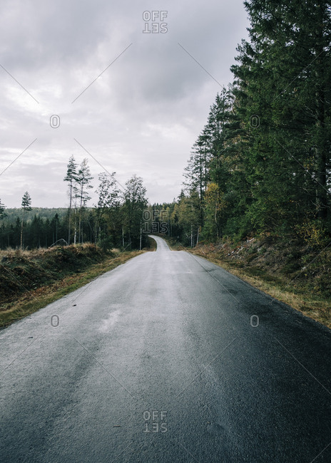 Empty highway through scandinavian countryside