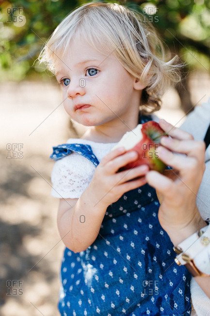 Little girl with blonde hair and blue eyes eating an apple stock photo -  OFFSET