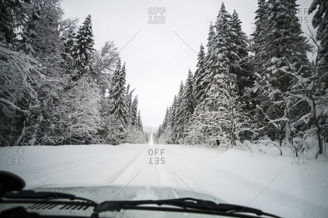 Snow covered road amidst trees seen through car windshield