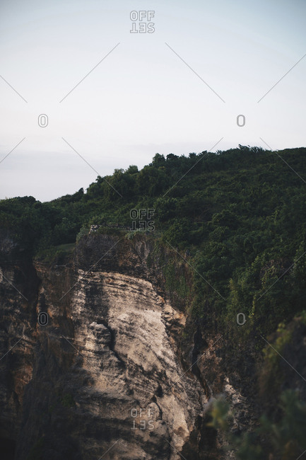 View of trees on mountain against clear sky