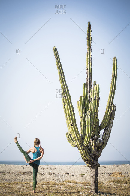 Rear view of woman doing bird of paradise yoga while standing by cactus at beach against clear sky