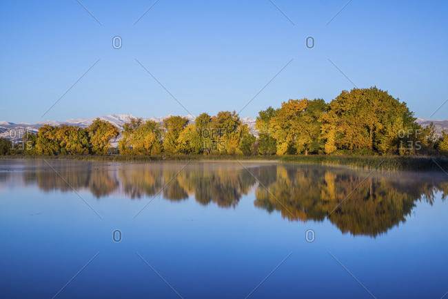 Scenic view of calm lake by trees against clear blue sky