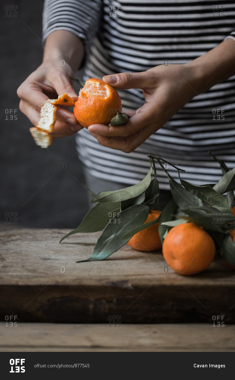 To clean tangerine. To remove a peel from tangerine. Cleaning of a madarin  of a peel. Stock Photo by ©vershinin.photo 188785458