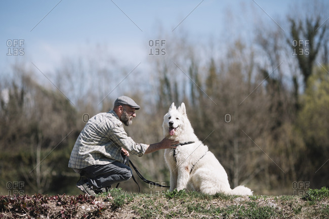 A young dog enjoying the attention from her owner