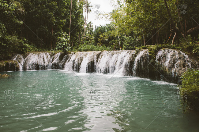 Scenic view of waterfalls amidst forest