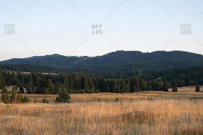 Vast rural landscape with forest covered hills