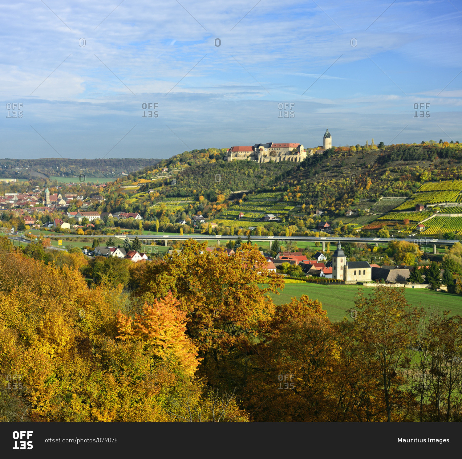 Germany, saxony-anhalt, burgenlandkreis (district), freyburg, view to freyburg with neuenburg castle, municipal church st marien and weinbergen, autumn