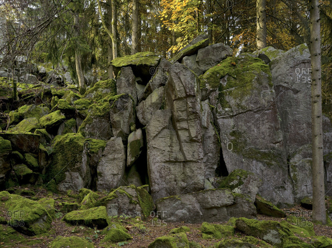 Germany, hessia, hessian Rhon nature reserve, unesco biosphere reserve, the steinwand close poppenhausen, autumn