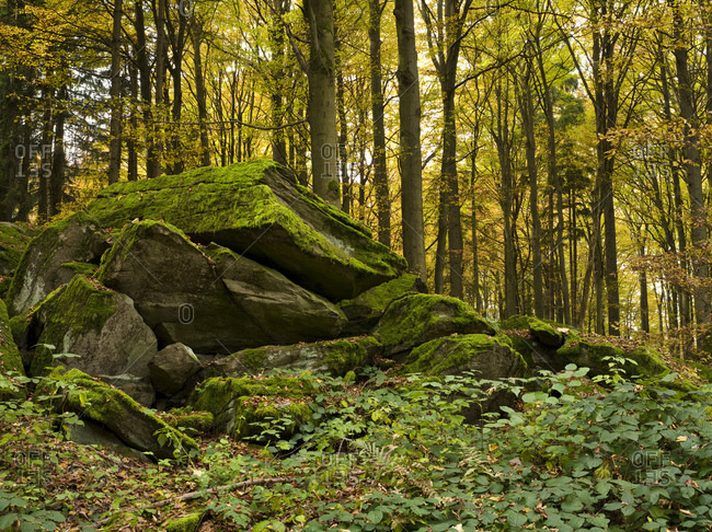 Germany, hessia, hessian Rhon nature reserve, unesco biosphere reserve, rock formation in the buchenwald close poppenhausen, autumn