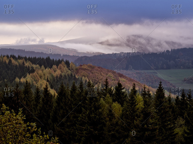 Germany, hessia, hessian Rhon nature reserve, unesco biosphere reserve, morning mood with fog on the wasserkuppe