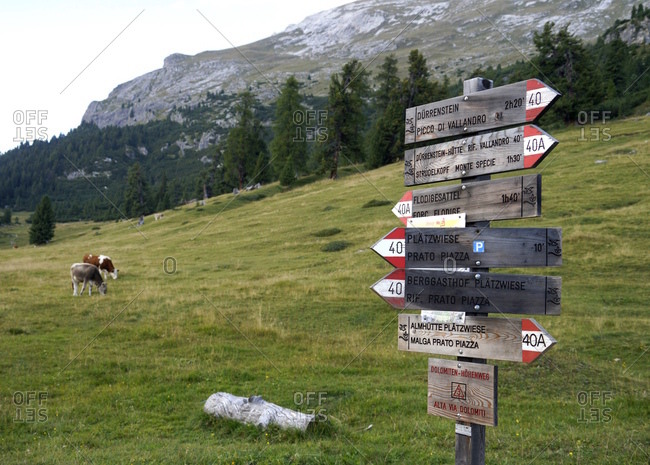 Europe, italy, south tirol, pragser dolomiten / dolomiti di braies (mountains), platzwiese, signpost, footpath, durrenstein