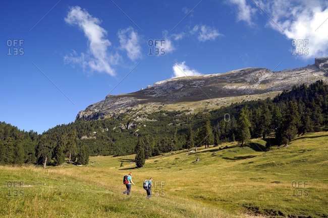 Europe, italy, south tirol, pragser dolomiten / dolomiti di braies (mountains), platzwiese, durrenstein (mountain), 2839 m